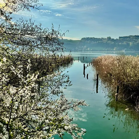 Seelavie - Tiny Am * Mattsee